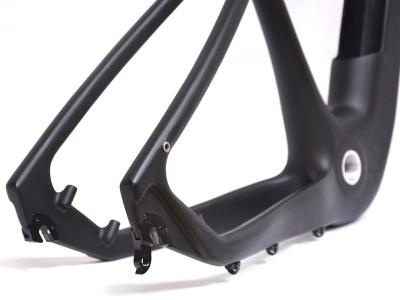 E Bike MTB Frameset